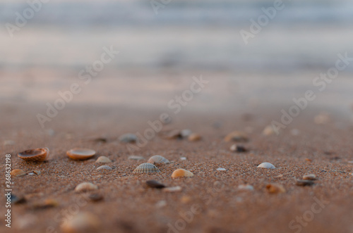 sand on the beach