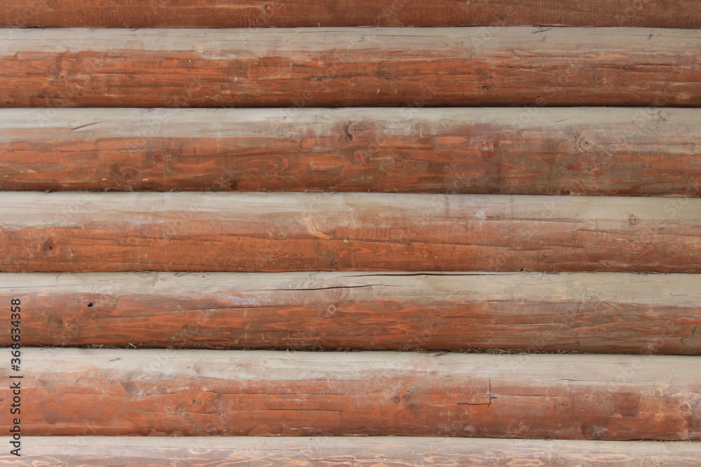 The wall of the house is made of thick logs. Russia. The wall of the house is made of thick logs. Russia.