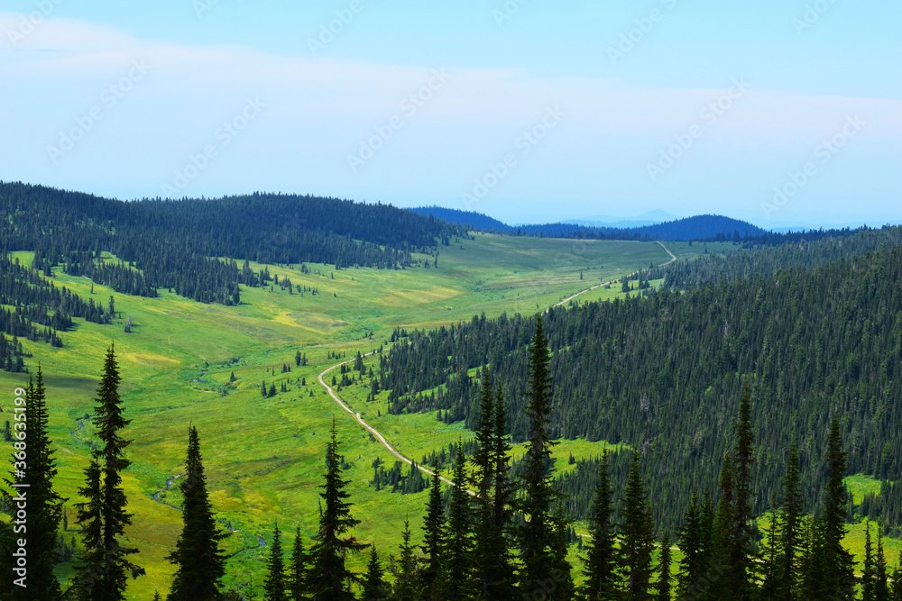 Mountain valley. Ergaki nature Park. East Sayan ridge. Beautiful nature of Siberia. Tall pines and firs. Mountain landscape. Panoramic view.