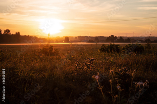 Fototapeta Naklejka Na Ścianę i Meble -  sunset over the field