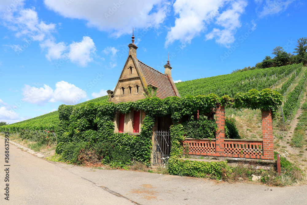 Beautiful Building in a Vineyard at the Wartberg, Heilbronn, Germany, Europe