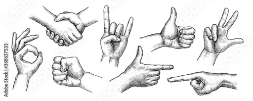 Hand gestures set. Isolated flat hand drawn human finger symbol icon collection. Handshake, thumb up, fist, ok sign, devil horns gesture, forefinger pointing communication drawing vector illustration photo