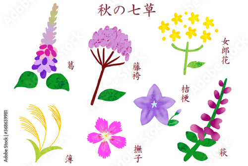 名前入りの秋の七草アイコン