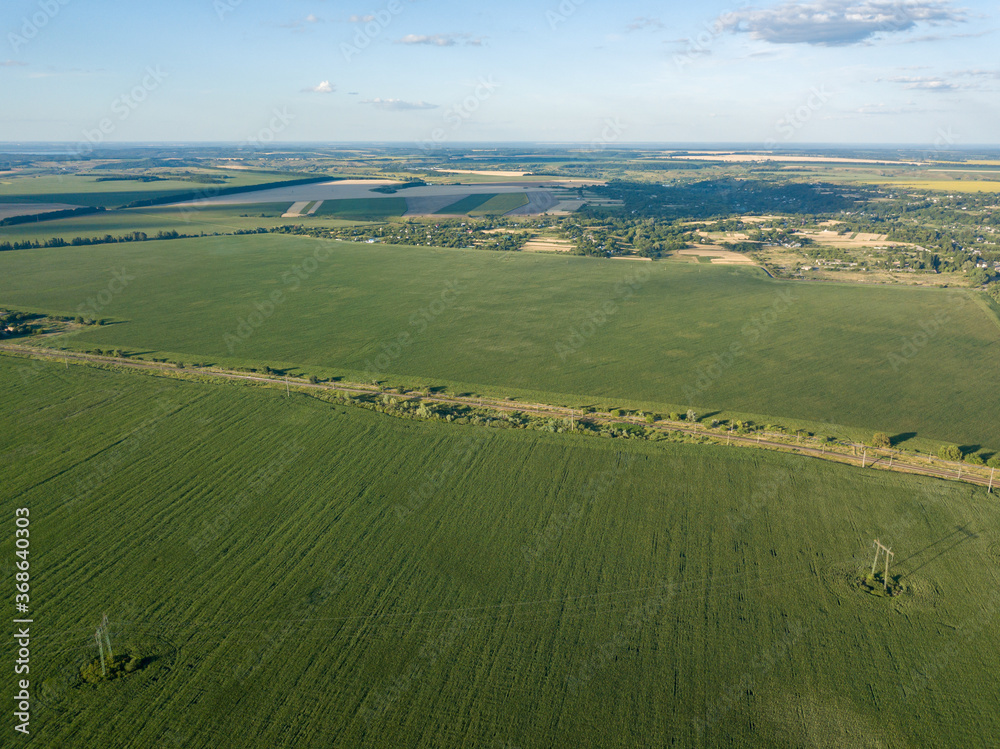 Naklejka premium Green cornfield in Ukraine. Aerial drone view.