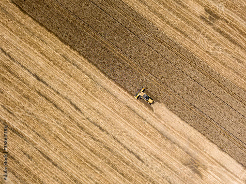 Obraz premium Aerial drone view. The harvester harvests wheat in the Ukrainian field.