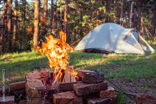 Burning campfire, with camping tent in the background, deep inside the forest, at sunset.