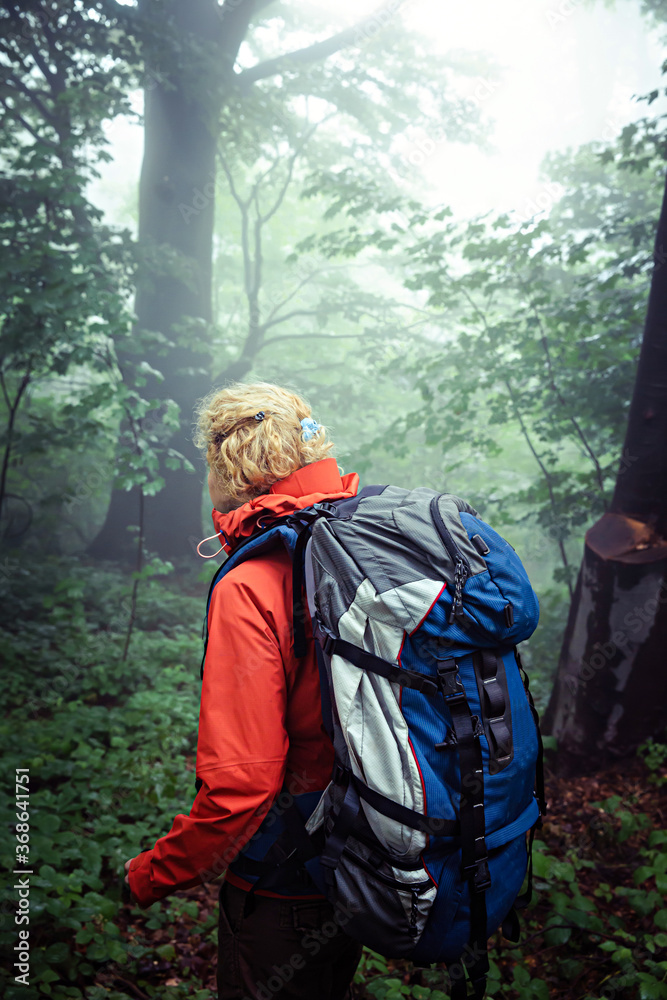 Middle age woman, wearing mountaineering backpack, and outdoor sport clothes, trekking through deep, misty forest.