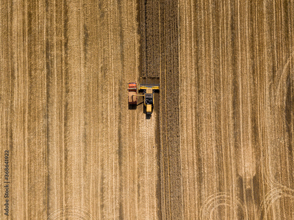 Aerila drone view. The harvester pours the wheat crop into the truck. Aerila drone view. The harvester pours the wheat crop into the truck.