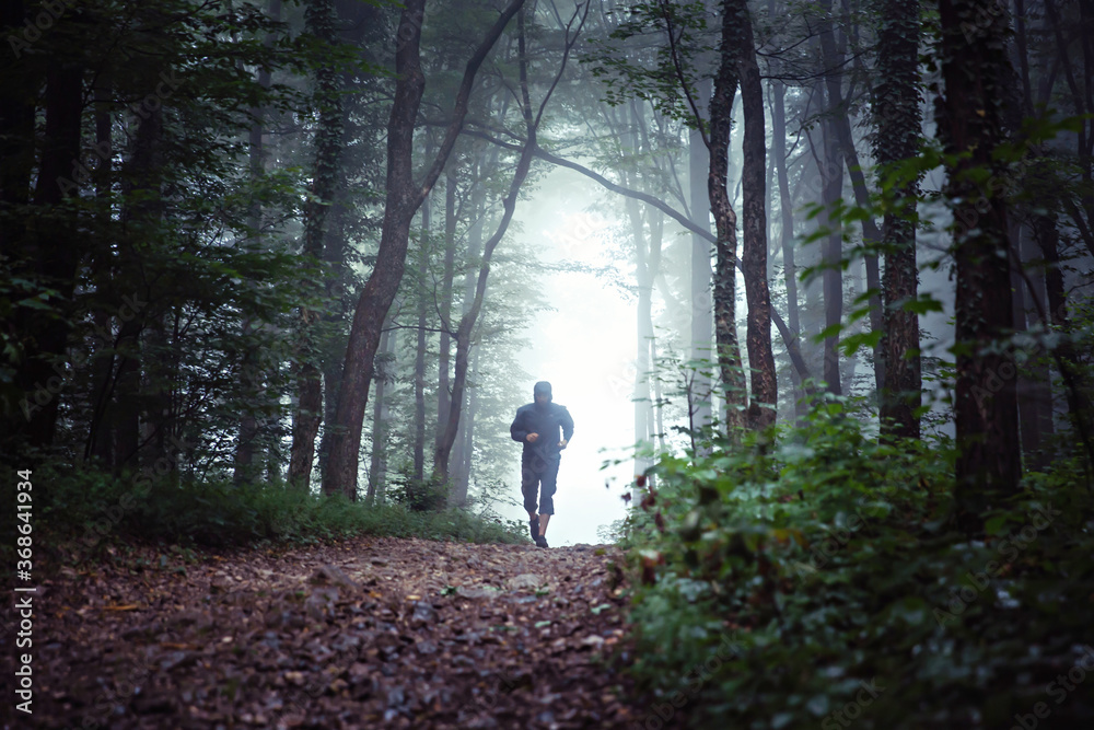 Misty forest landscape, with male runner, trail running in the distance. Misty forest landscape, with male runner, trail running in the distance.