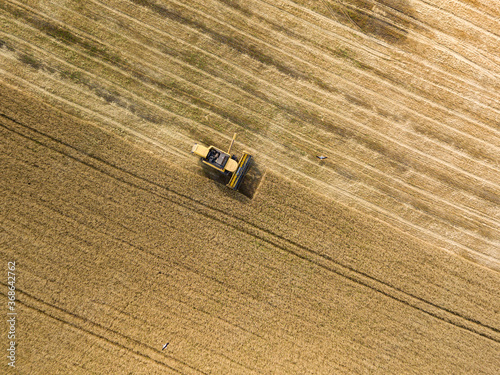 Aerial drone view. The harvester harvests wheat in the Ukrainian field. © Sergey
