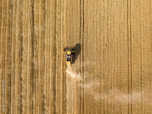 Aerial drone view. The harvester harvests wheat in the Ukrainian field.