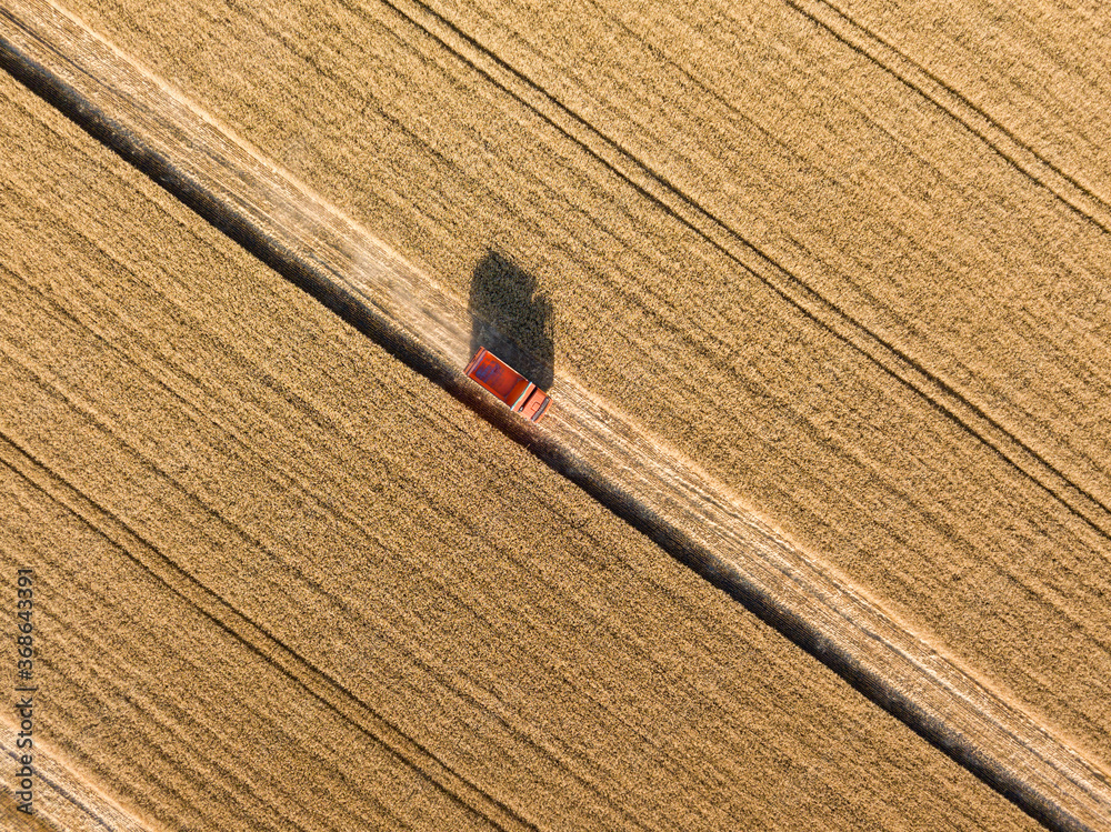 Aerial drone view. Truck with grain in a ripe wheat field in Ukraine.
