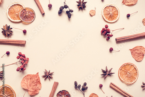 Autumn pastel background made of leaves, berries and spices. Flat lay, top view. Copy space for text.