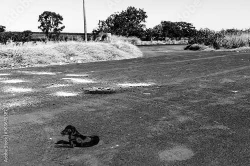 Abandoned gas station inn Uberlandia, Brazil. photo