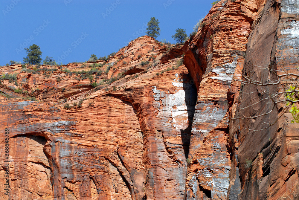 Utah- Zion National Park Beautifully Sculpted Cliff Sides