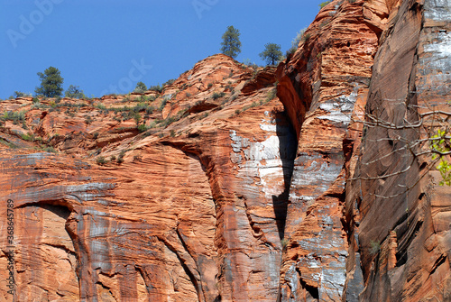 Utah- Zion National Park Beautifully Sculpted Cliff Sides