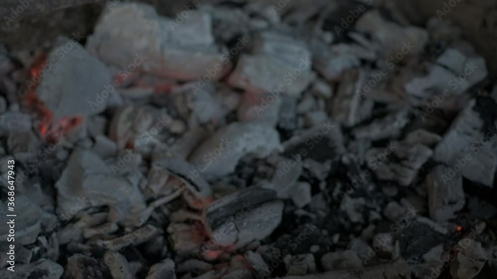 Meat grilling. Сhicken thighs on grill grate. Slow motion Meat grilling. Сhicken thighs on grill grate. Slow motion