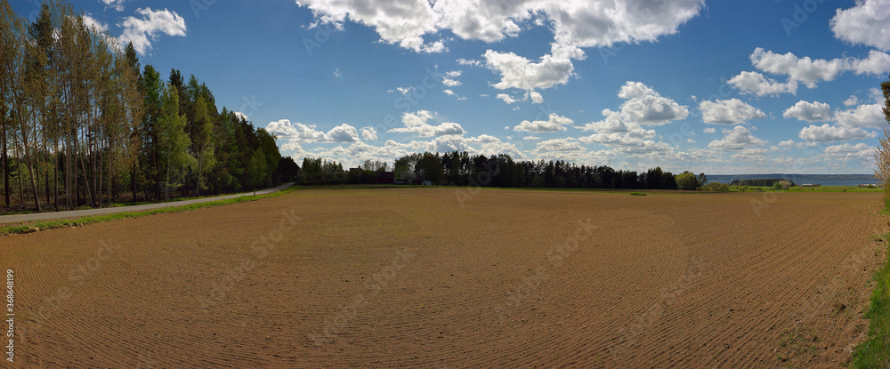 Fototapeta premium Visingsø field, SWEDEN