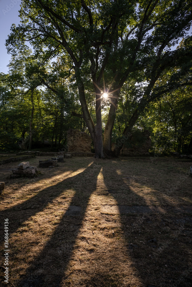 Obraz premium Disibodenberg