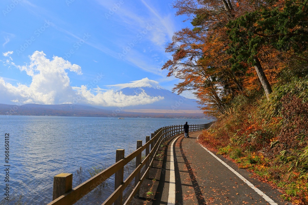 Fototapeta premium 晩秋の山中湖畔散歩道