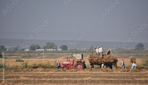 Indian Harvest session with tractor on the field
