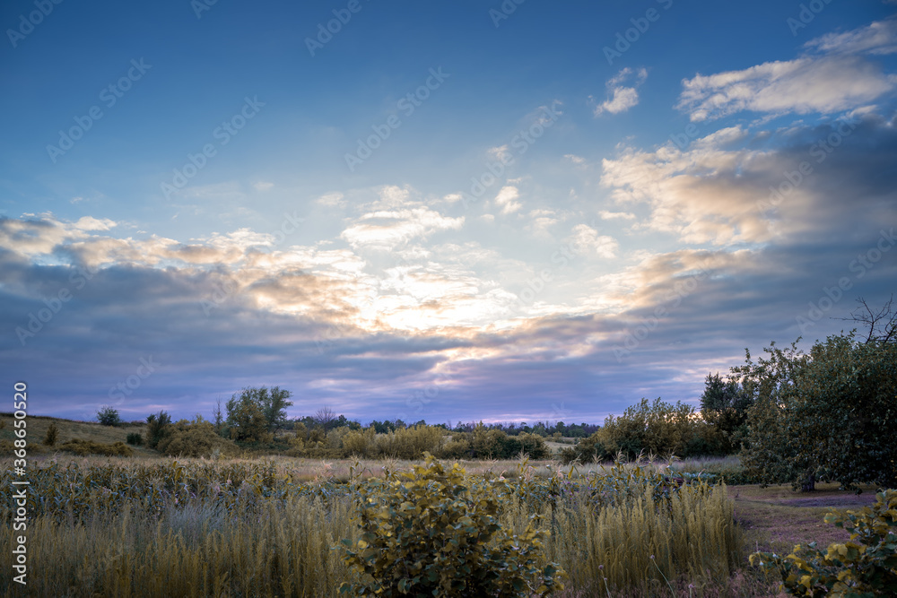Sunset over sunflowers, rural gardens and orchards. Summer rural background, landscape. The concept of agriculture and the beauty of nature. Sunset over sunflowers, rural gardens and orchards. Summer rural background, landscape. The concept of agriculture and the beauty of nature.