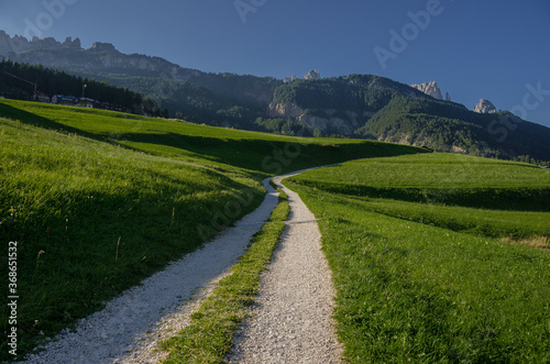 Sun lit green alpine meadows and pine woods around Vigo di Fassa village in Fassa valley, Dolomites, Trentino, Alto Adige, South Tirol, Italy.