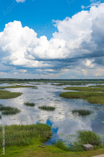 Fototapeta Naklejka Na Ścianę i Meble -  Lake Lubans, the biggest lake in Latvia. Shallow drainage lake, fed by the Rēzekne, Malta, Malmuta and Lisinja rivers and several smaller brooks, ponds, reeds, white water lilies, with reflections