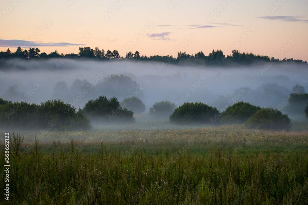 Wonderful mist or fog summer evening or morning, sunset or sunrise, meadow landscape, wonderful mysterious nature