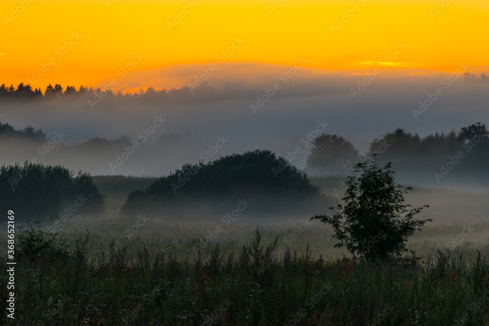 Wonderful mist or fog summer evening or morning, yellow orange sunset or sunrise, meadow landscape, wonderful mysterious nature