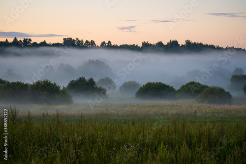 Wonderful mist or fog summer evening or morning, sunset or sunrise, meadow landscape, wonderful mysterious nature