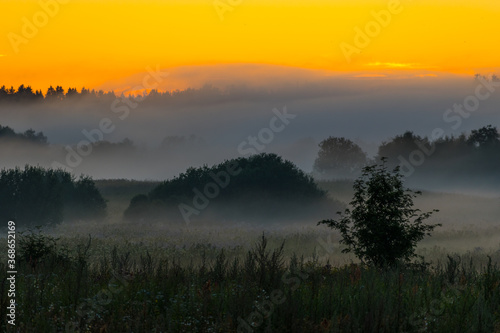 Wonderful mist or fog summer evening or morning  yellow orange sunset or sunrise  meadow landscape  wonderful mysterious nature