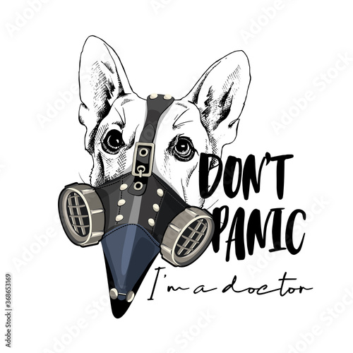 Portrait of a German shepherd in a Plague Doctor mask. Steampunk Character. Don't panic. I'm a doctor - lettering quote. Creative t-shirt composition, hand drawn style print. Vector illustration.