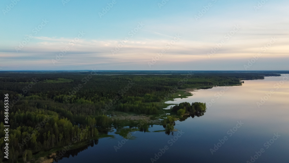 Green shore of the lake. Forest and water meet. View from above