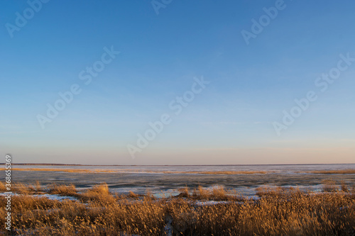 spring lake and reeds and sunset time with a clear sky