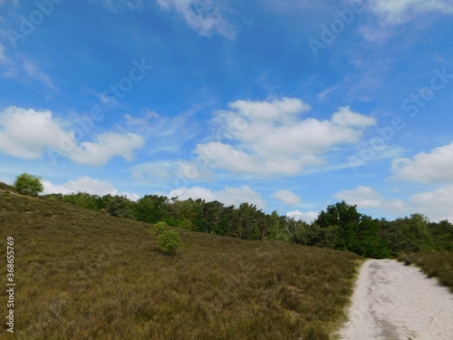landscape with blue sky