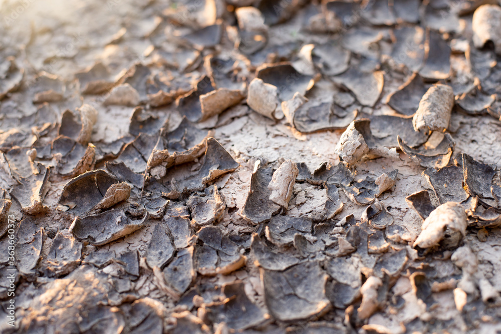 Surface of a dry and cracked ground