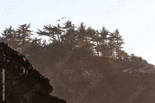 Secret Beach, Oregon photo