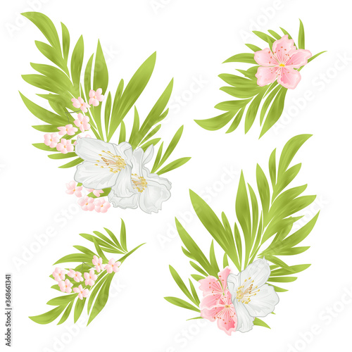 Ornamental leaves and jasmine and sakura on a white background  watercolor vintage  vector editable illustration hand drawn © zdenat5