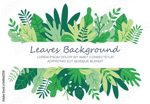 Leaves and plants background