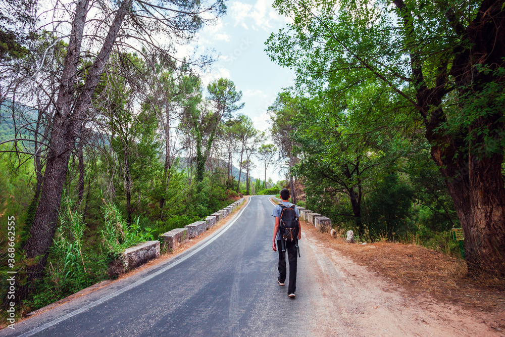Young adventurer on his back with backpack walking while traveling on nature tourism on a road in the middle of the forest in the Cazorla Natural Park, in Spain. Selective focus. Young adventurer on his back with backpack walking while traveling on nature tourism on a road in the middle of the forest in the Cazorla Natural Park, in Spain. Selective focus.