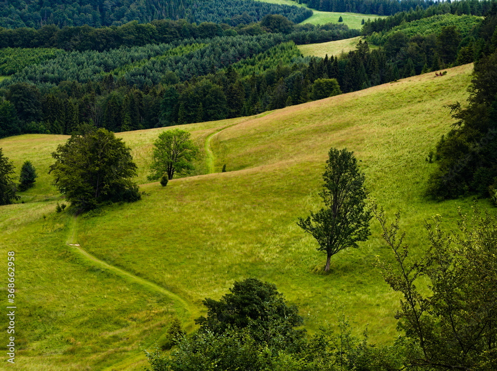 Mountain landscape with green hills and trees. Pieniny National Park. Polish-Slovakian border