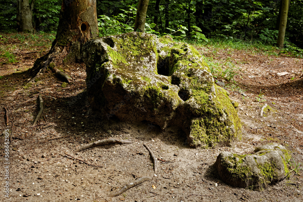 Fototapeta premium Strange shaped stones called sun temple because of legend about pagan Slavic religion rituals at place. Karst mysterious limestone outliers covered by moss. Forest area.