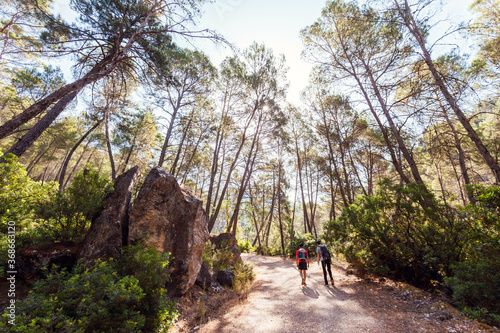 Fototapeta Naklejka Na Ścianę i Meble -  Group of young adventurers on their backs with backpack walking while traveling for nature tourism on a path in the middle of the forest in the Cazorla Natural Park, in Spain. Selective focus.