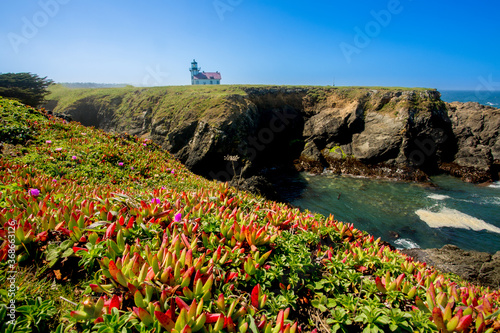 Point Cabrillo lighthouse at Cape Cabrillo Light Station State Historic Park, flowering ice plant in the forground, near Mendocino, CA. photo