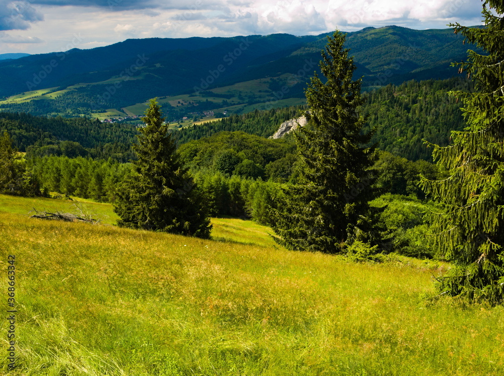 Mountain landscape in the summer. Pieniny National Park. Polish-Slovakian border