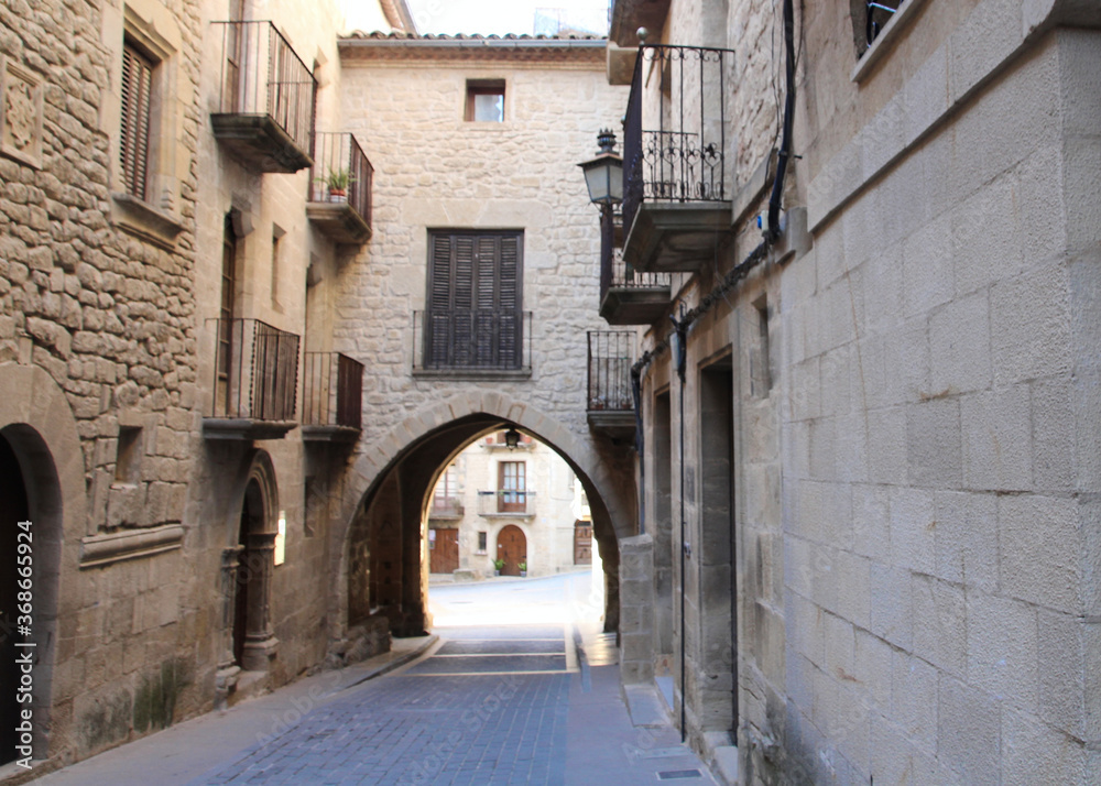 Fototapeta premium narrow street in the old town