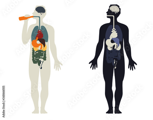 Vector outline of human body with organs