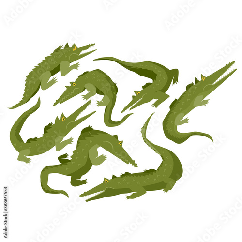 Set of crocodile or alligators isolated on white background  Crocodile Character In Different Poses Childish Stickers