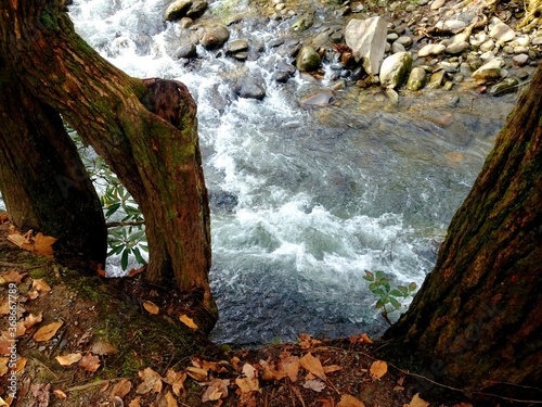 Peaceful Tennessee river